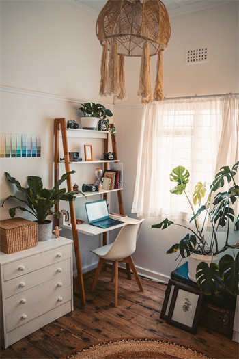 天涯创业论坛高手贴：洞察创业宫的经典讨论 第1张